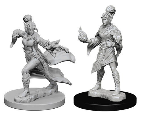 Elf Sorcerer (Female)